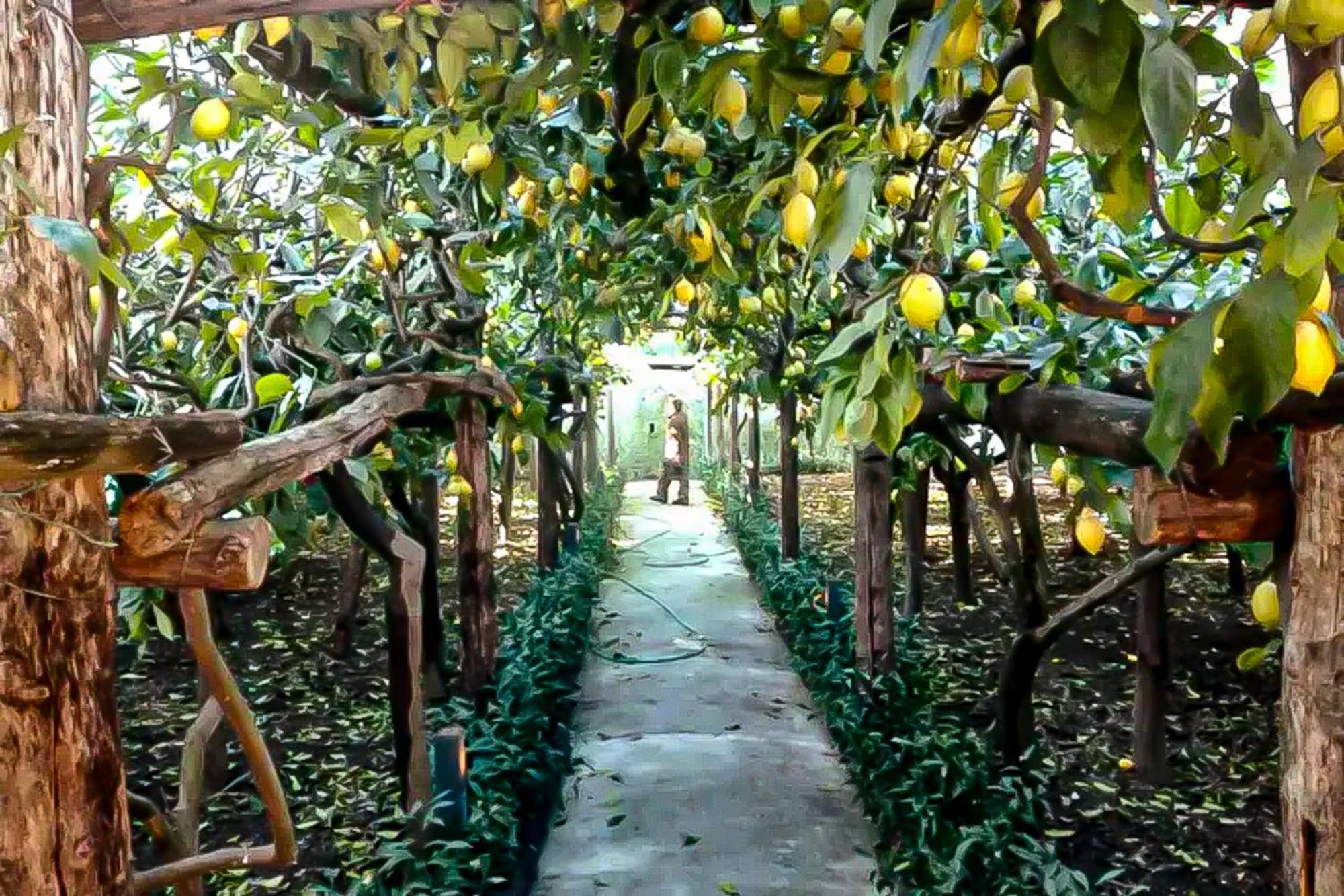 Willa Limoneto Di Anna Maiori Zewnętrze zdjęcie